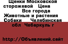 Щенки Московской сторожевой › Цена ­ 35 000 - Все города Животные и растения » Собаки   . Челябинская обл.,Чебаркуль г.